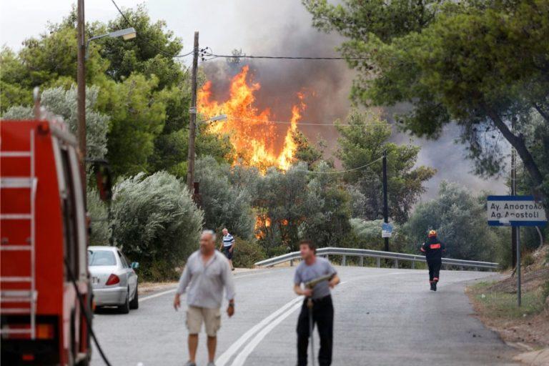 Ο Δήμος Ιθάκης συλλέγει είδη πρώτης ανάγκης για τους πληγέντες των πυρκαγιών