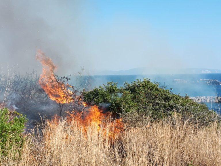 Κεφαλονιά | Φωτιά στη περιοχή των Σβορωνάτων – Άμεση η επέμβαση της Π.Υ (photos-video)
