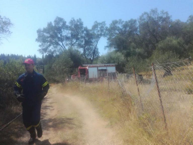 Κέρκυρα | Το ρεπορτάζ του START για τη φωτιά στους Καλαφατιώνες – Έκαψε 30 στρέμματα (video)