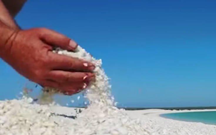 Μια κατάλευκη παραλία από κοχύλια στην Αυστραλία (video)