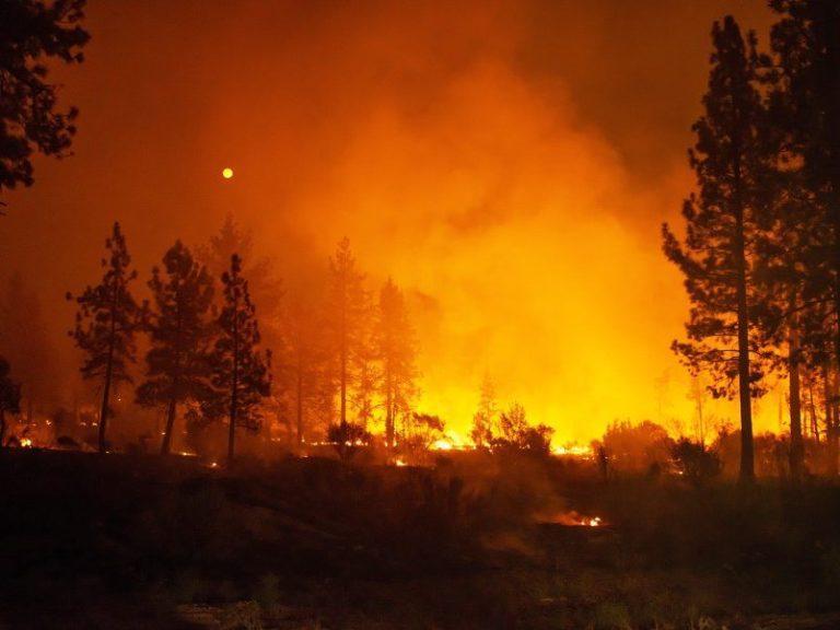 Η.Π.Α. – Καλιφόρνια | Πέντε νεκροί από τις πυρκαγιές – Για 6η μέρα “μάχονται” 3.500 πυροσβέστες με τις φλόγες (photos)