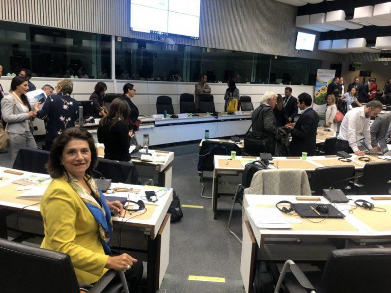 Παρέμβαση της Ρόδης Κράτσα Τσαγκαροπούλου στο συνέδριο της CRPM, στις Βρυξέλλες για την «πράσινη και γαλάζια οικονομία»