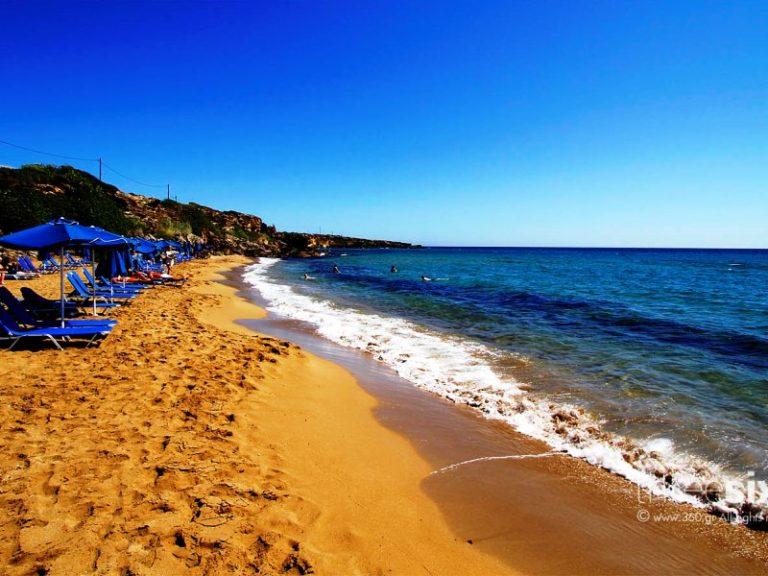 Κεφαλονιά | Πνιγμός 60χρονου Έλληνα λουόμενου στην παραλία Άμμες – Είναι μια από τις 7 που έχασαν τη “Γαλάζια Σημαία”
