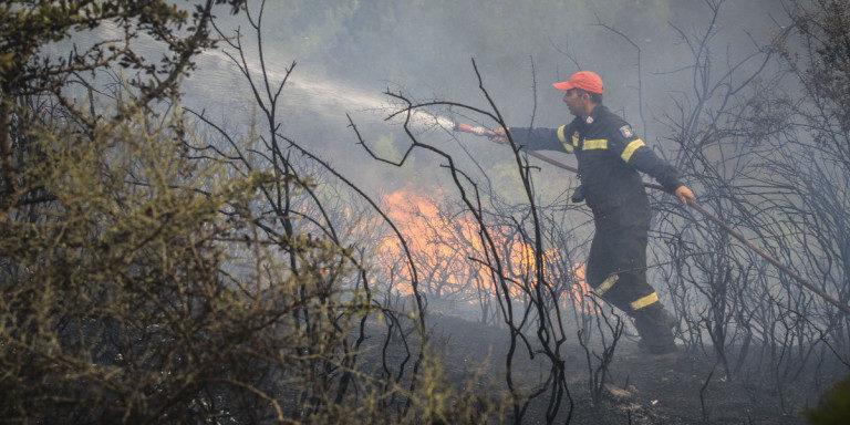 Κέρκυρα| Φωτιά στο Τεμπλόνι . Έκαψε τρία  στρέμματα-Άμεση η επέμβαση της Πυροσβεστικής