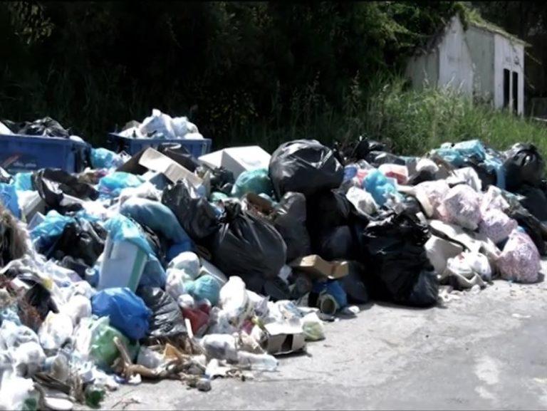Κέρκυρα  |  Παραμένει το πρόβλημα με τα σκουπίδια στην παραλία της Γλυφάδας (video)