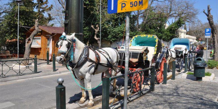 Ζάκυνθος | Σύλληψη αμαξά για κακομεταχείριση αλόγου