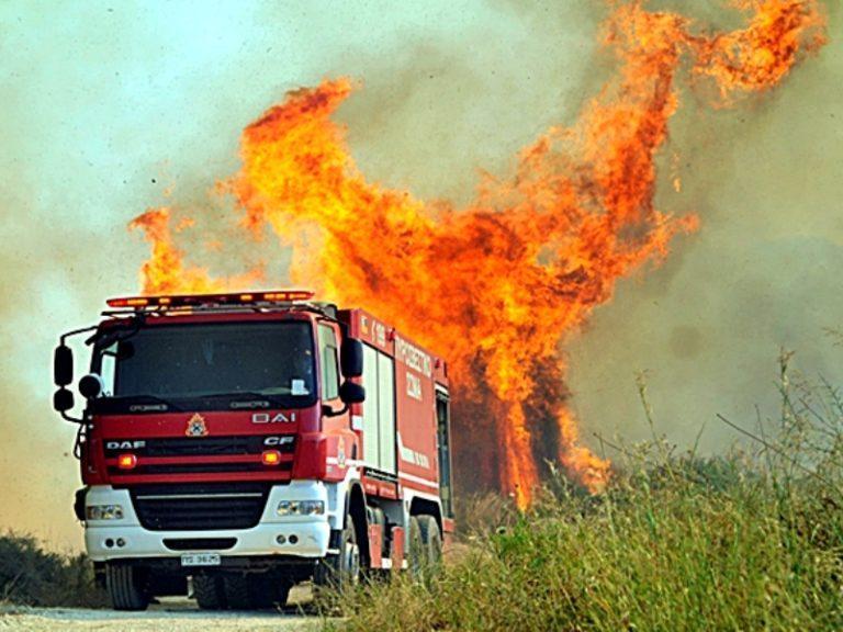 Ζάκυνθος | Υπό έλεγχο τέθηκε η φωτιά στην περιοχή Βροντόνερο (video+photos)