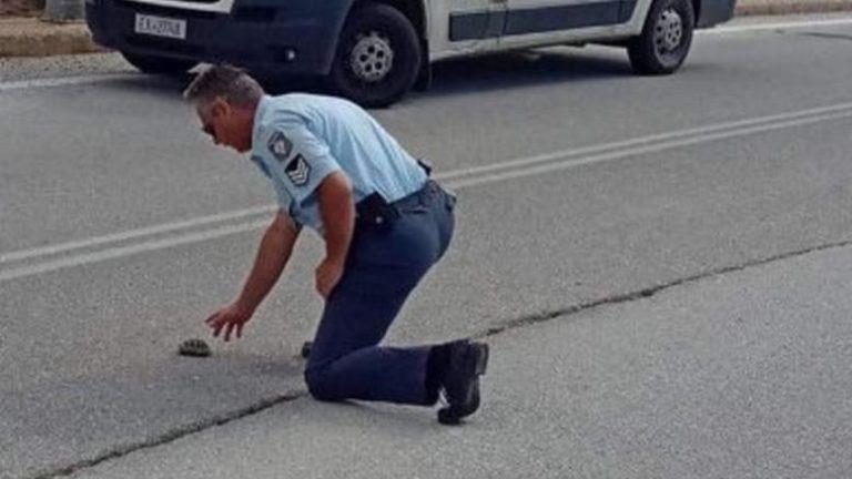 Αστυνομικός στην Καστοριά βοήθησε χελωνάκι να περάσει το δρόμο