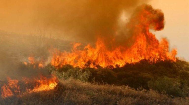 Κέρκυρα| Σε εξέλιξη μεγάλη φωτιά στην περιοχή της Λευκίμμης -Εντολή εκκένωσης  για την περιοχή Νεοχώρι