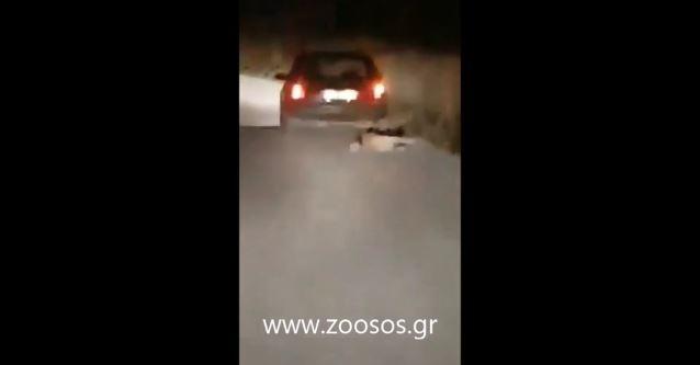 Βόνιτσα | Εντοπίστηκε ο 72χρονος που έσερνε το σκύλο στην άσφαλτο με το αυτοκίνητο