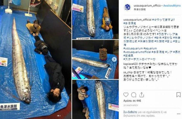 Σεισμός: Τρόμος στην Ιαπωνία – Ξεβράστηκαν στις ακτές ψάρια 3,5 μέτρων (photos)