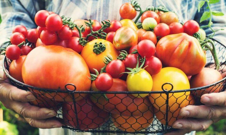 Ντομάτες: Ποια είναι τα οφέλη τους για τον οργανισμό ανάλογα με το χρώμα τους (photos)