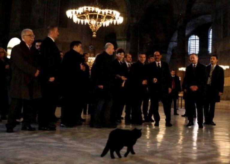 Μια.. μαύρη γάτα στην υποδοχή του Τσίπρα στην Αγία Σοφία!