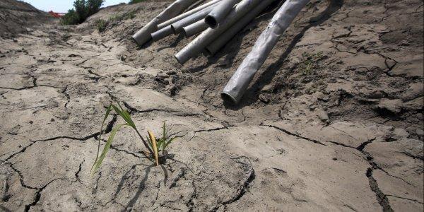 “Καμπανάκι” από ΟΗΕ: Η ξηρασία απειλεί 45 εκατομμύρια ανθρώπους