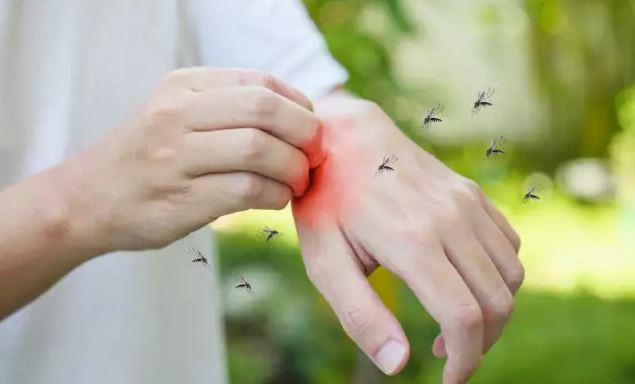 Κουνούπια: 7 επιστημονικά αποδεδειγμένοι τρόποι για να τα αποφύγετε