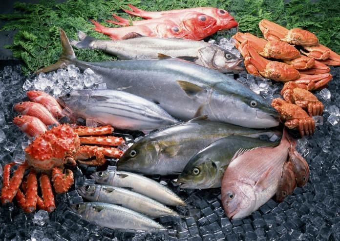 Αποκάλυψη σοκ για απάτες σε ψάρια και θαλασσινά σε παγκόσμια κλίμακα!