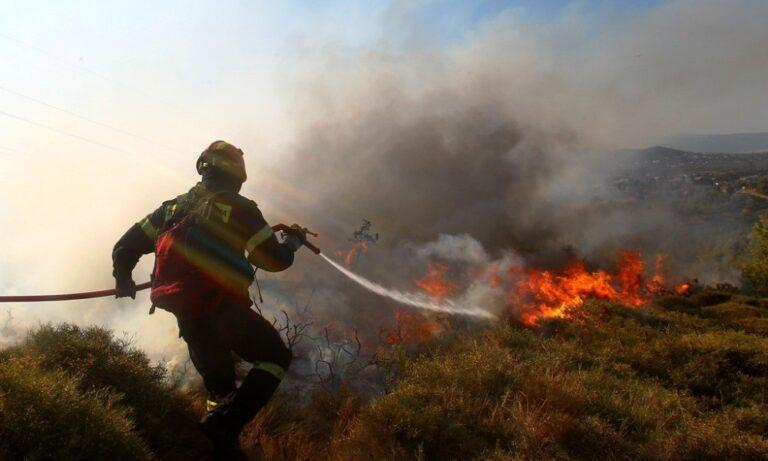 Ακόμη δύο φωτιές σε αγροτικές εκτάσεις στα Καρτέρια και στου Ποντή