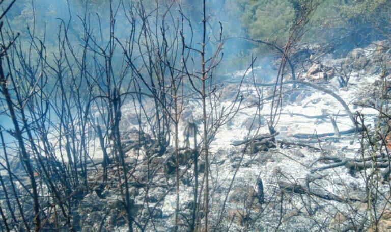 Δύο δασικές φωτιές στην Κέρκυρα σε Σπαρτύλα και διασταύρωση Αγ. Προκοπίου