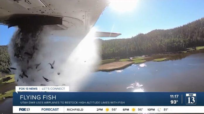 ΗΠΑ-Έριξαν χιλιάδες ψάρια σε λίμνες από αεροπλάνο (βίντεο)