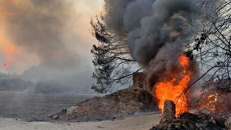 Φωτιά στην Εύβοια: Μάχη για να μην ξεφύγει στα κεντρικά το πύρινο μέτωπο