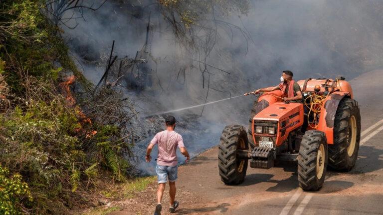 Φωτιά στην Ηλεία: Βιβλική καταστροφή – Πάνω από 90.000 στρέμματα γης έχουν καεί