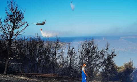 Φωτιά Βίλια: Μάχη για να μην φτάσει σε οικισμούς – Στο Όρος Πατέρα έφτασαν οι φλόγες