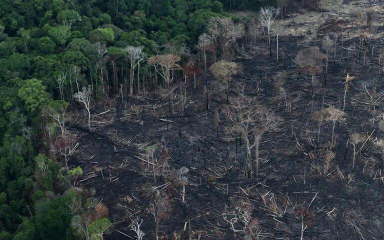 Αμαζόνιος: Η αποψίλωση του τροπικού δάσους «έσπασε» κάθε ρεκόρ