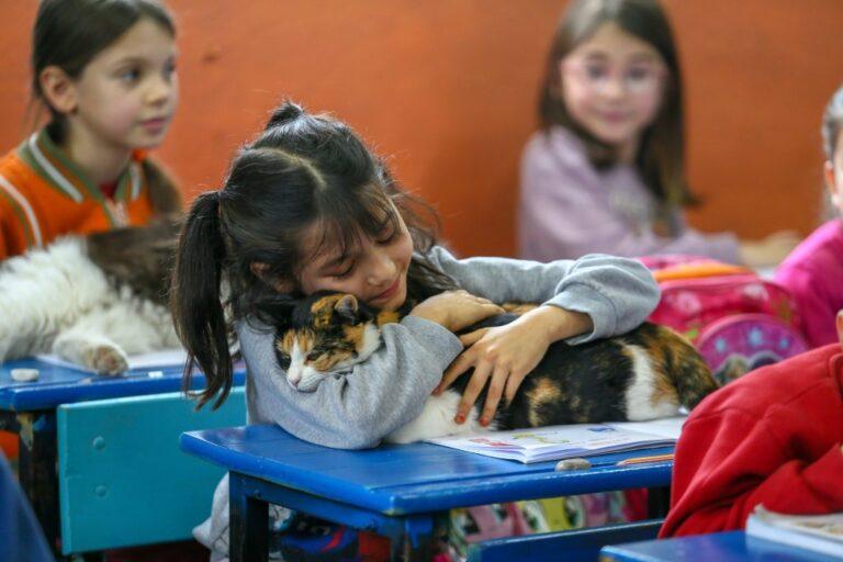 Δημοτικό σχολείο στην Τουρκία φιλοξενεί 19 μαθητές και… 30 γάτες