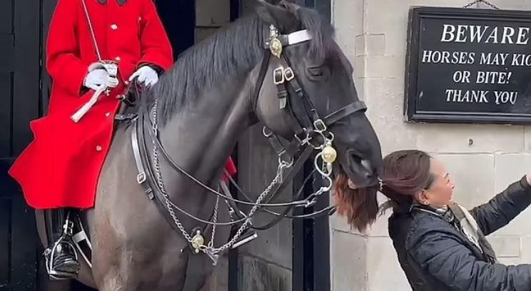 Άλογο της βασιλικής φρουράς στη Βρετανία δάγκωσε την κοτσίδα τουρίστριας (βίντεο)