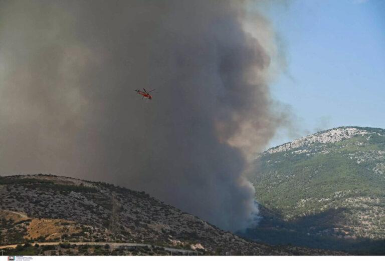 Στις πλαγιές της Πάρνηθας «σκαρφαλώνουν» οι φλόγες! – Εντείνεται η αγωνία για τον Εθνικό Δρυμό – Η φωτιά πλησιάζει σπίτια στο Μενίδι