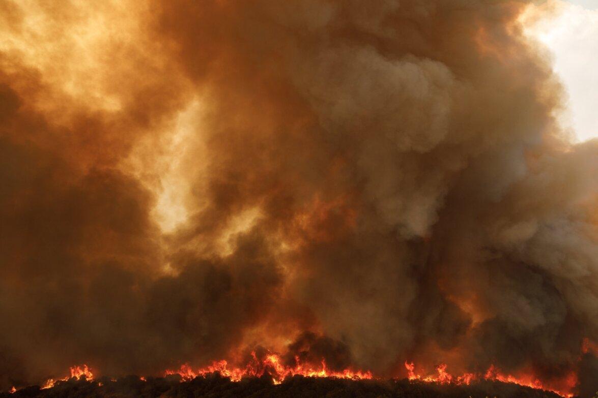 Για 12η μέρα καίγεται o Έβρος: Επαγγέλματα απειλούνται με εξαφάνιση – Τεράστια οικολογική καταστροφή