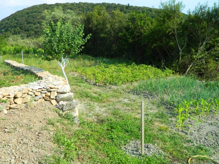Δήμος Κ. Κέρκυρας: Έρχονται πρόστιμα για τα ακαθάριστα οικόπεδα